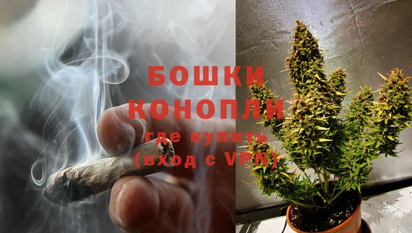 кокаин Белокуриха