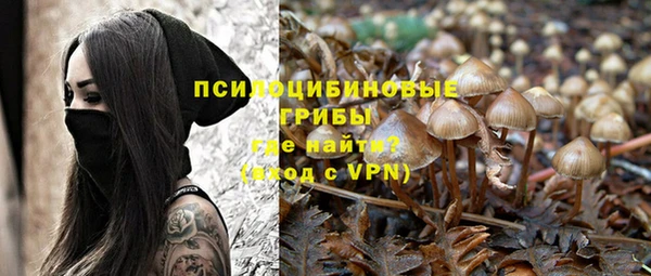 хмурый Бабаево