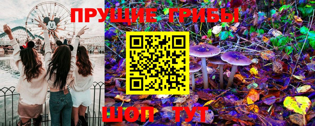 Псилоцибиновые грибы Magic Shrooms  Псилоцибиновые грибы Psilocybe  Большой Камень  Вход с VPN 